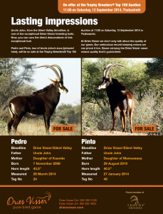 Dries Visser Advertising: Wildlife Ranching 3 2014 2